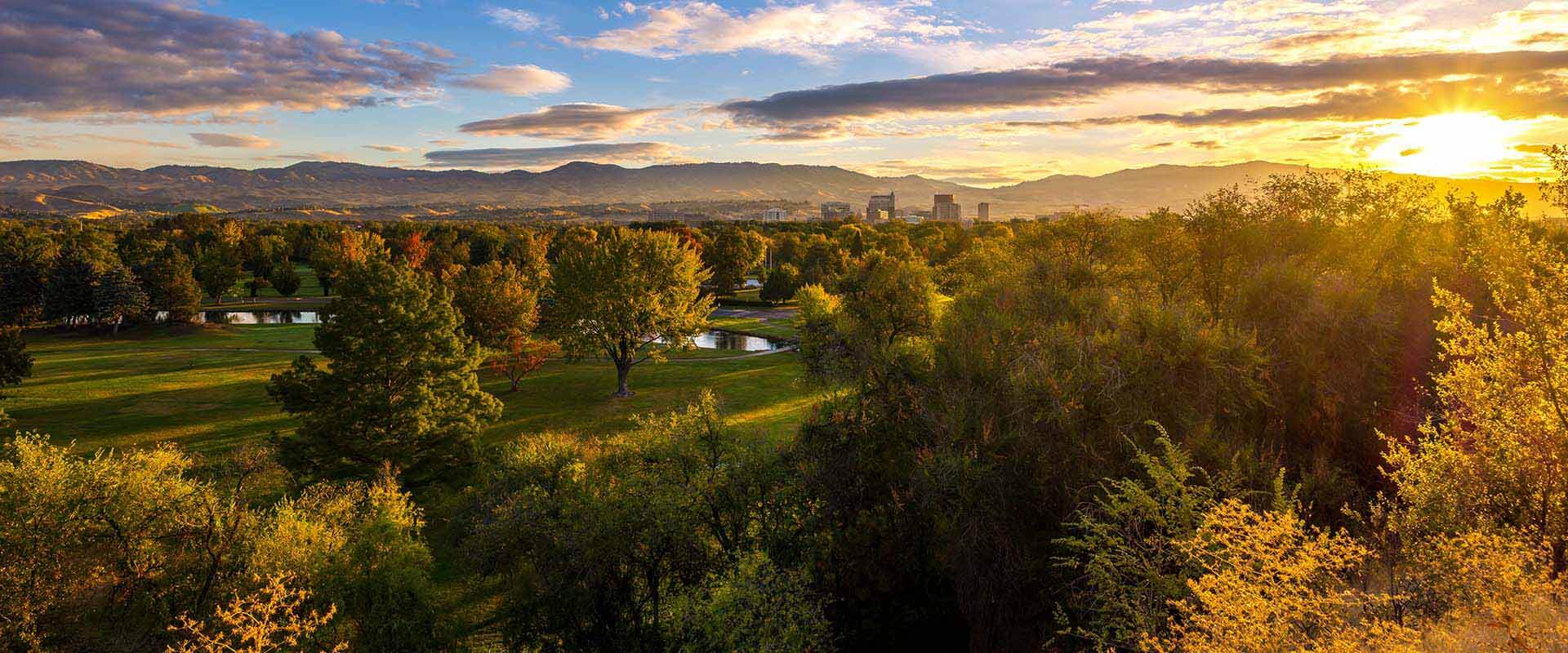 What's Happening at The Hub Hubble Homes